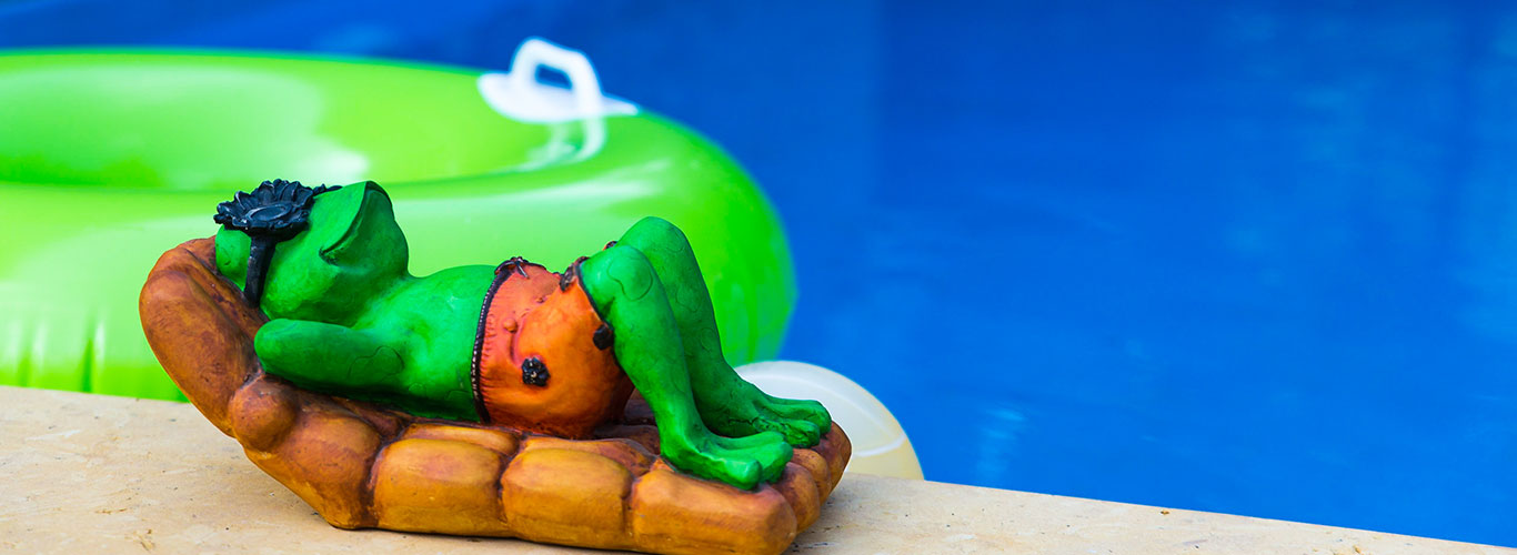 Lazy Frog - Slider Image 3