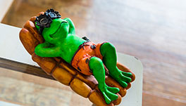 Lazy Frog-Front View 1